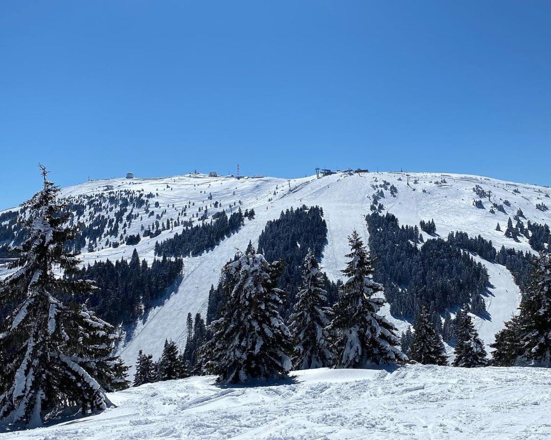 Ski&Spa Milmari L17 Kopaonik Ngoại thất bức ảnh